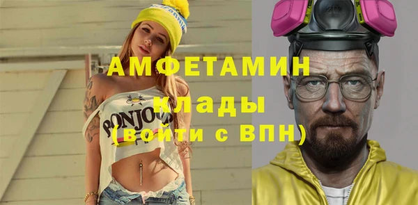 прущие грибы Гусев