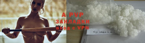 прущие грибы Гусев