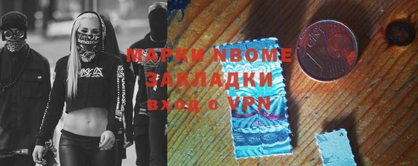 прущие грибы Гусев