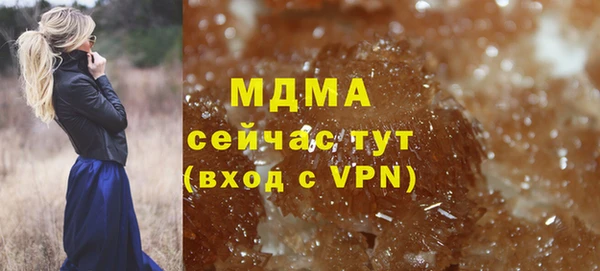 прущие грибы Гусев