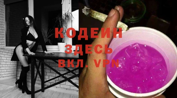 прущие грибы Гусев