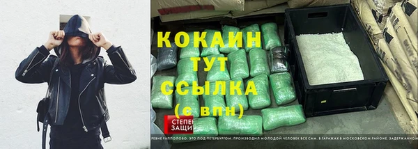 прущие грибы Гусев