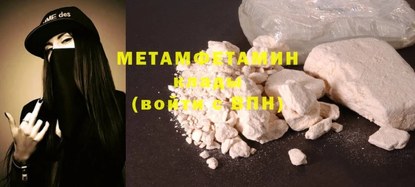 прущие грибы Гусев